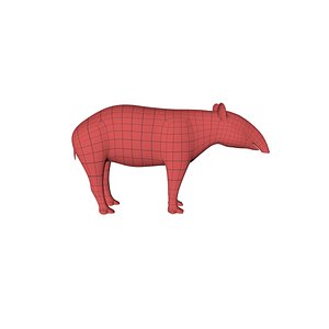 3d base mesh tapir model