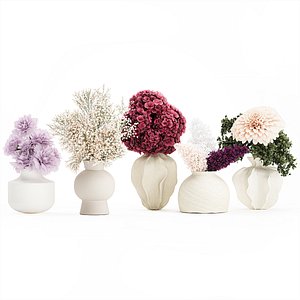 Collection bouquets lilac gypsophila hydrangea set vase decor 3D