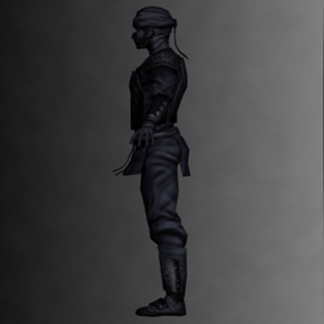 3d Model Ninja Kit