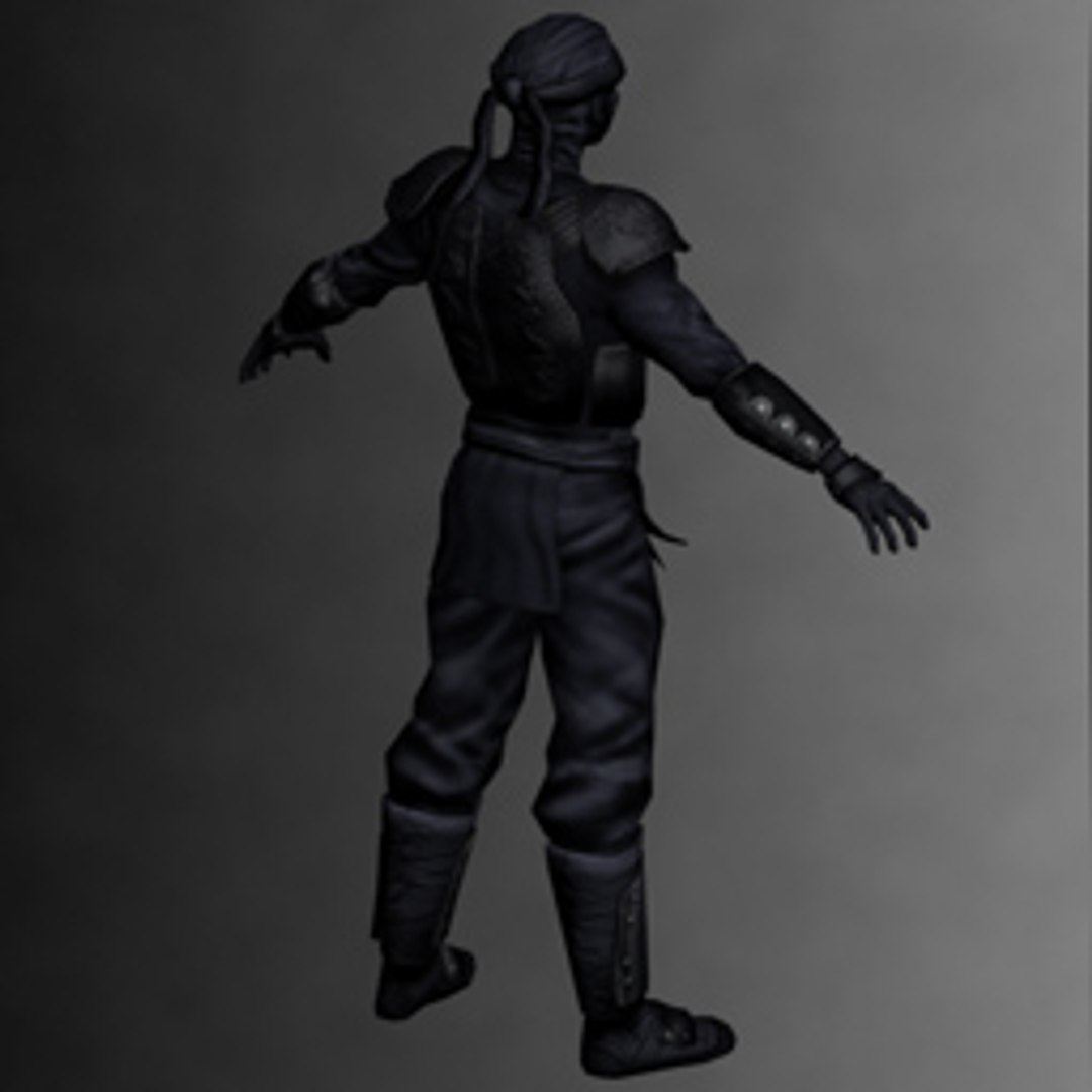 3d Model Ninja Kit