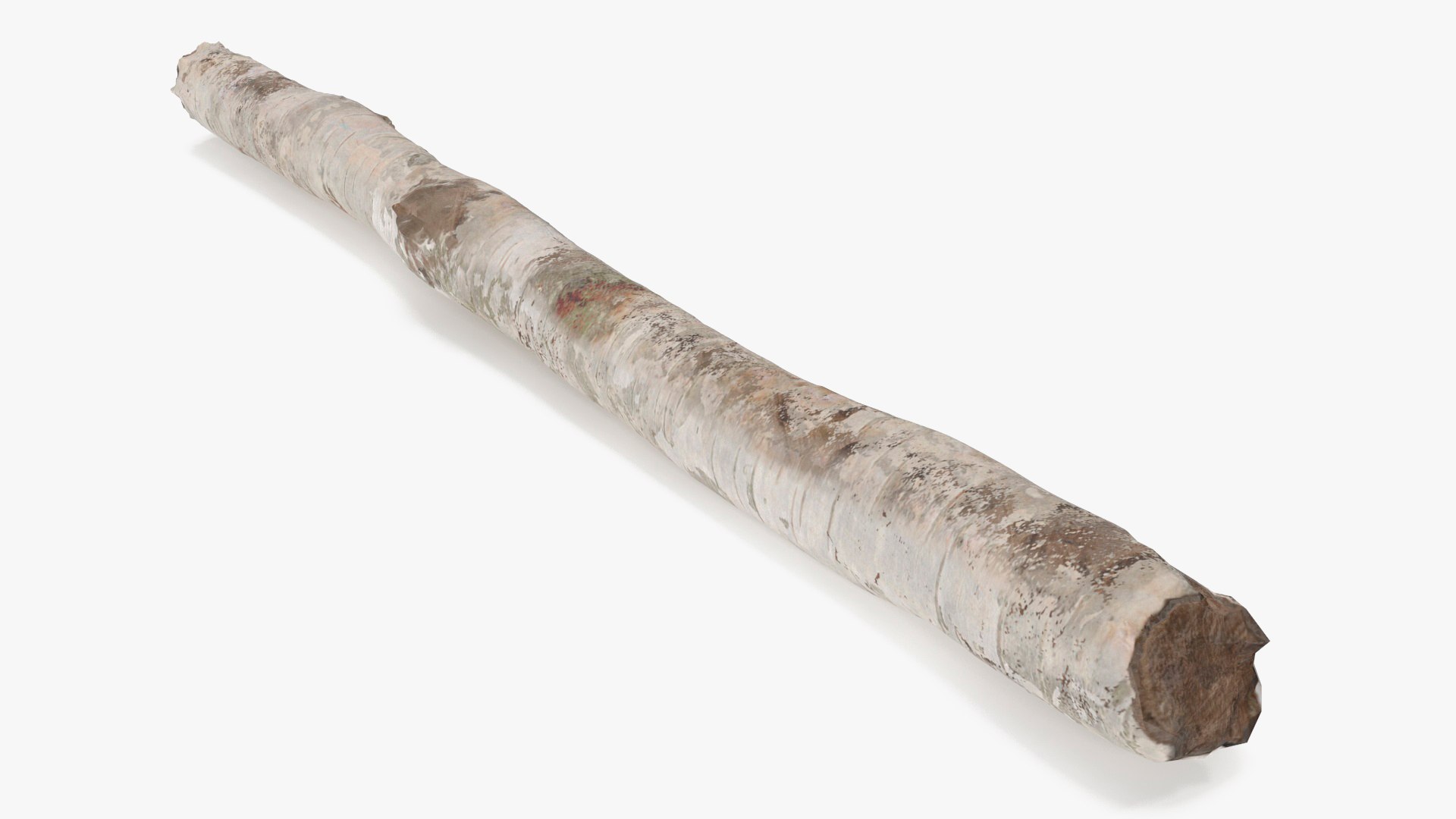 Short White Birch Pole 3D model preview