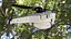 Nano Helicopter UAV