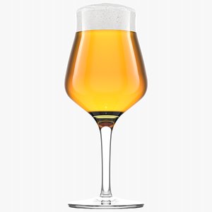 Beer Glass  5  Without Condensation 3D model
