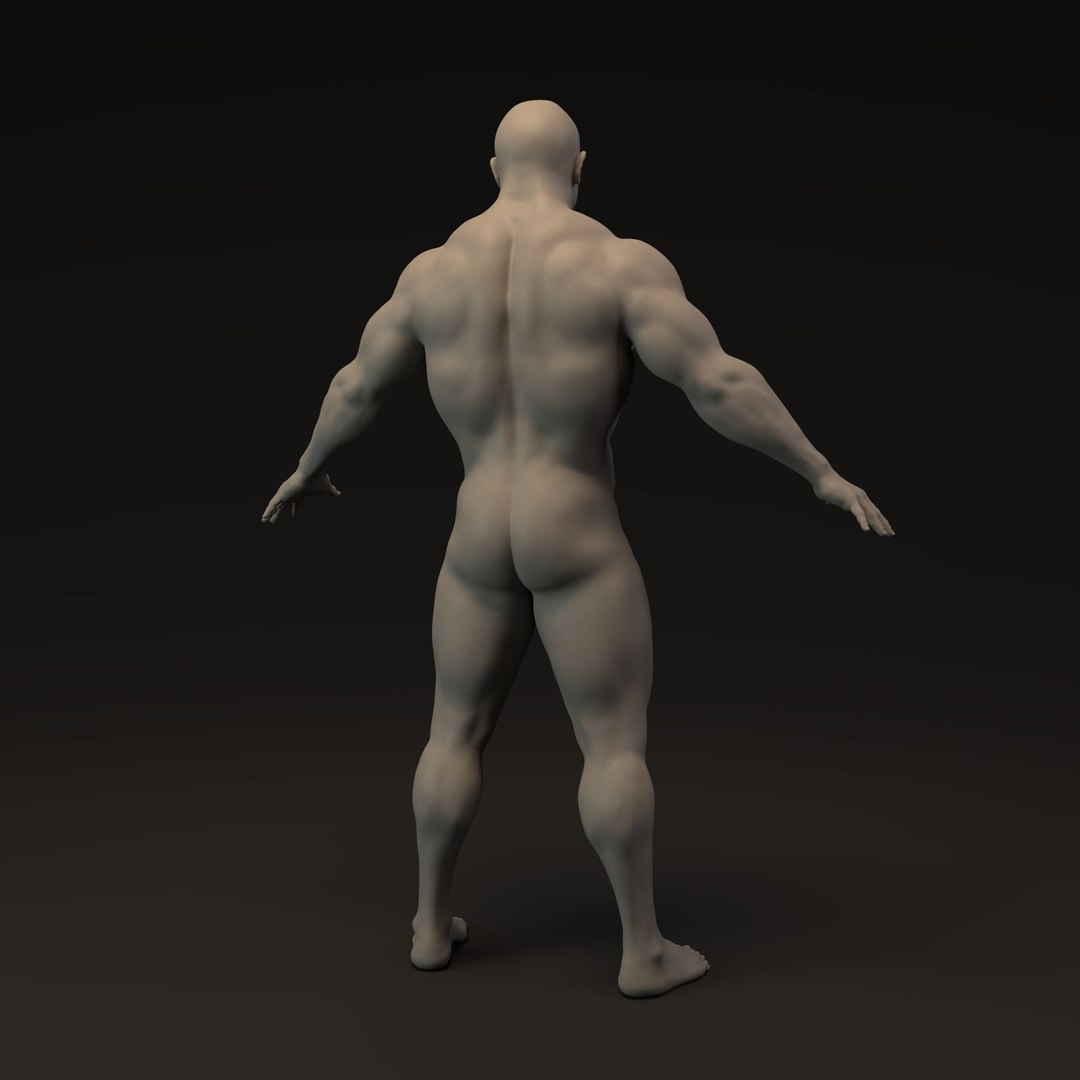 3D Bodybuilder Man Base Mesh model https://p.turbosquid.com/ts-thumb/rb/3cwx6v/Rc/bodybuilder_man_1_009/jpg/1717212504/1920x1080/fit_q87/57e0620c6a1b079256924bd98a88d9b394ee4230/bodybuilder_man_1_009.jpg