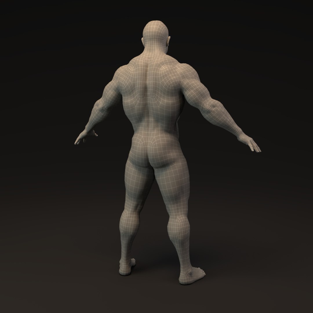 3D Bodybuilder Man Base Mesh Model - TurboSquid 2226080