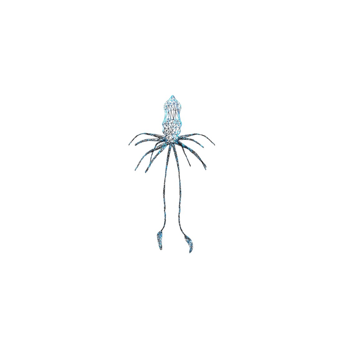 flying squid x https://p.turbosquid.com/ts-thumb/rb/4RzzTS/Dx13rvDz/21/png/1386315320/1920x1080/fit_q87/fb90c85ac5c6402c3ad70d7118bc48b8ad027d2b/21.jpg