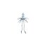 Flying Squid