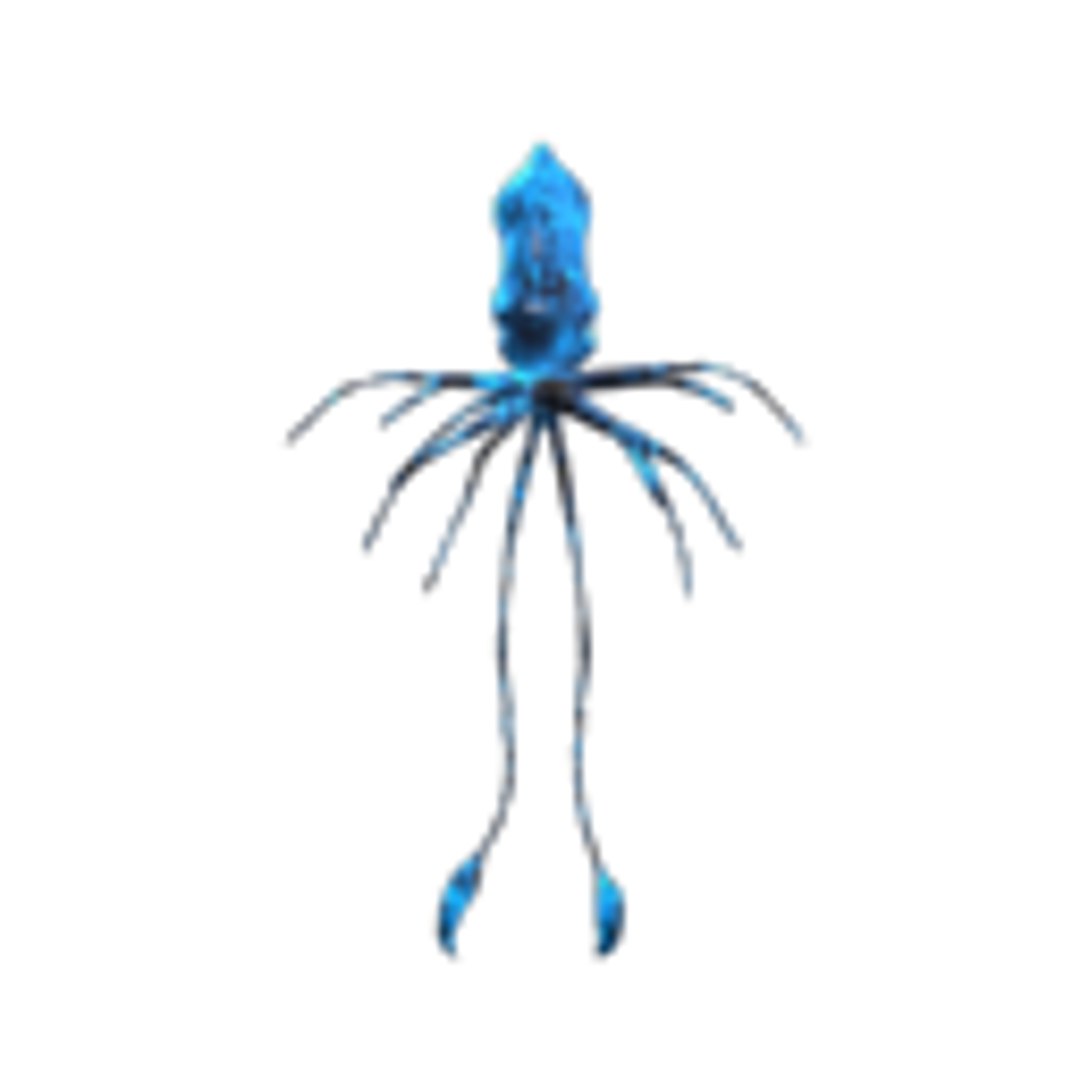 flying squid x https://p.turbosquid.com/ts-thumb/rb/4RzzTS/dD7qaEKi/image0003/png/1386315311/1920x1080/fit_q87/e986deeaeebc6185365a17080bc1bf6c91ee5605/image0003.jpg