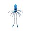 Flying Squid