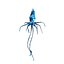 Flying Squid