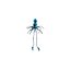 Flying Squid