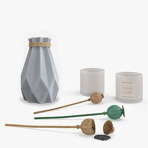 Decoration Set with Poppy Seed Plant Collection