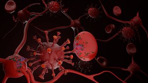 Virus cell attack blood cell and Neuron