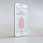 apple iphone 6