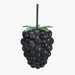 Medieval Blackberry 3D model