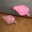 Rat Brain realistic