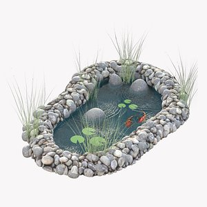 3D model water garden coy pond
