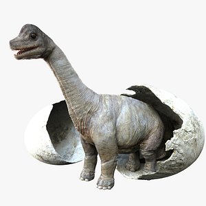 Brachiosaurus Baby 3D (Rigged)