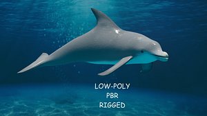 DOLPHIN LOW-POLY 3D MODEL