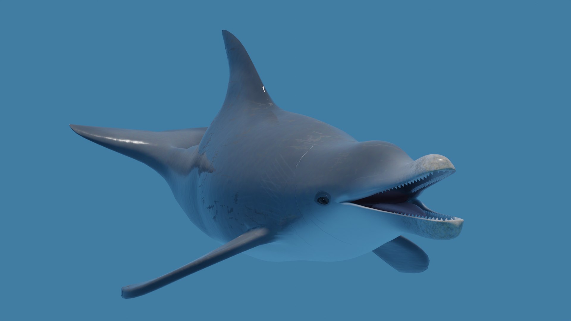 3D Model DOLPHIN LOW-POLY 3D MODEL - TurboSquid 2009489