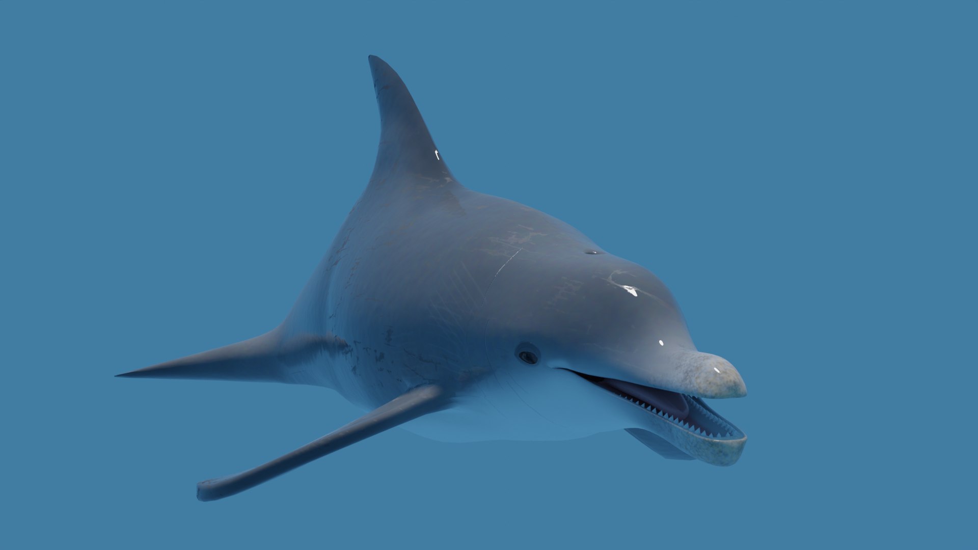 3D Model DOLPHIN LOW-POLY 3D MODEL - TurboSquid 2009489