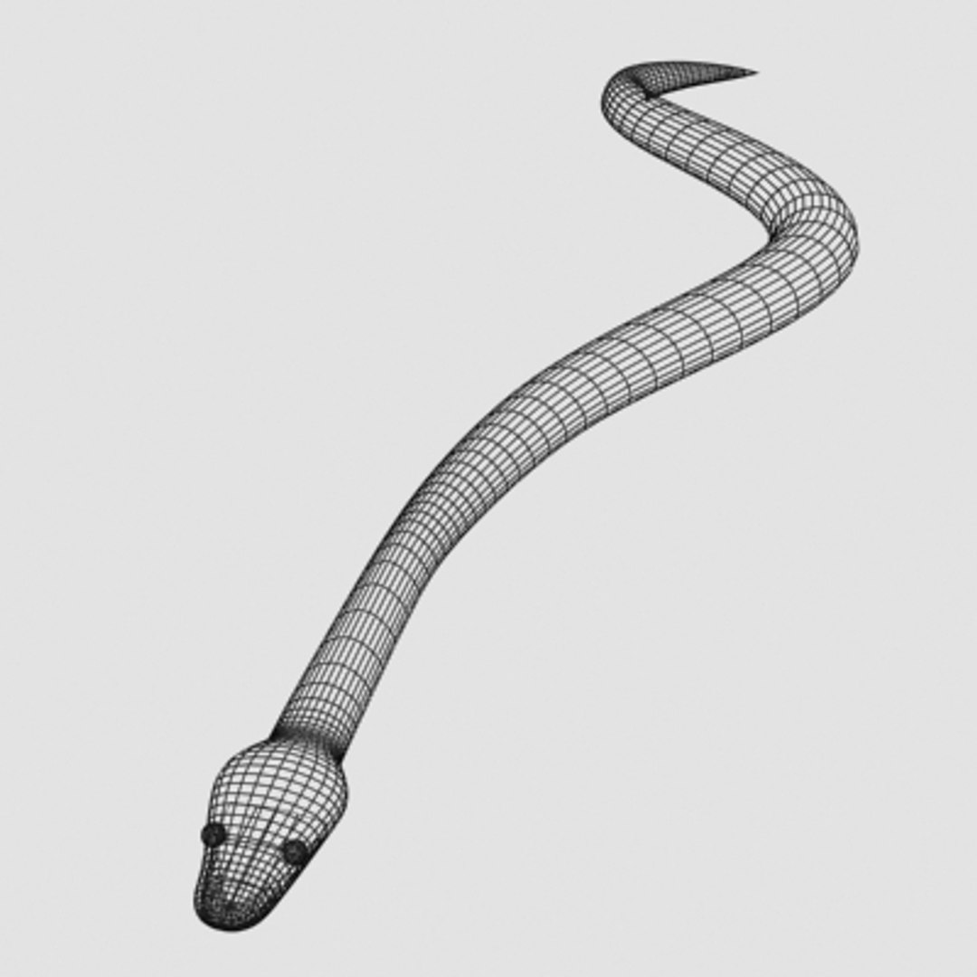 3d Ball Python Snake