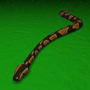 3d ball python snake