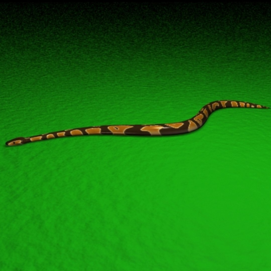 3d Ball Python Snake