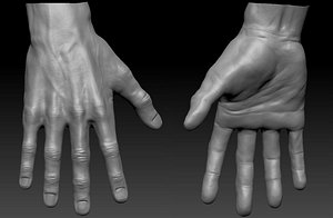 Very detailed Male hand sculpt with multiple subdivision levels 3D model