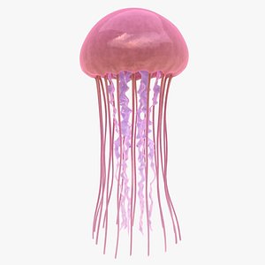 jellyfish scanline ready 3D