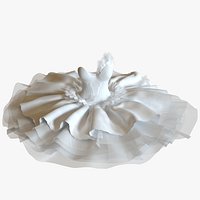 White Swan Ballerina Dress and Shoes
