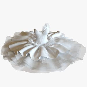 White Swan Ballerina Dress and Shoes