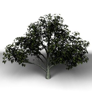 3d tree