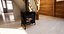 Wood Burner