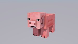 Pig+gift