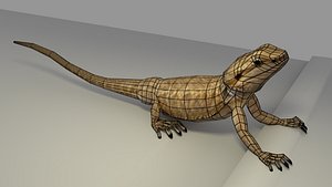 Bearded Dragon low-poly