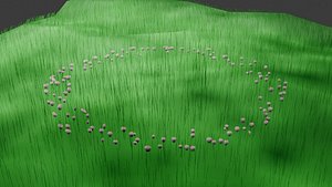 Fairy Ring 3D model