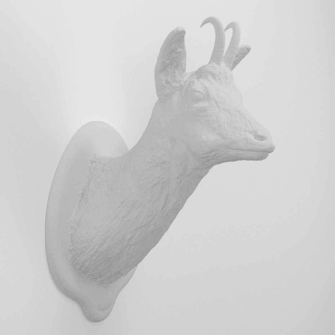 3d 01 chamois head https://p.turbosquid.com/ts-thumb/rc/WodC04/zxflSzXV/01_preview_08/jpg/1406324664/1920x1080/fit_q87/eba600cd567af48e7e26a66531576aac6b9cc6d5/01_preview_08.jpg