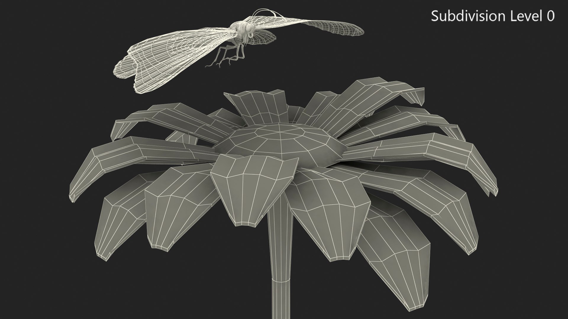 monarch butterfly sits flower 3D model https://p.turbosquid.com/ts-thumb/rc/aRyRXR/7epFh7R0/animatedmonarchbutterflysitsonflowerwithfurriggedmb3dmodel014/jpg/1573177765/1920x1080/fit_q87/143b2d69f5526481a48c1197264c137c559aa41c/animatedmonarchbutterflysitsonflowerwithfurriggedmb3dmodel014.jpg