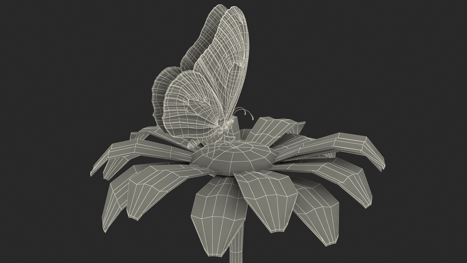 monarch butterfly sits flower 3D model https://p.turbosquid.com/ts-thumb/rc/aRyRXR/G0jNFn3L/animatedmonarchbutterflysitsonflowerwithfurriggedmb3dmodel021/jpg/1573177802/1920x1080/fit_q87/a42319b5d6bd50cca60764c186e9f27f764765eb/animatedmonarchbutterflysitsonflowerwithfurriggedmb3dmodel021.jpg