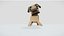 Einfacher Mops