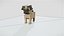 Einfacher Mops