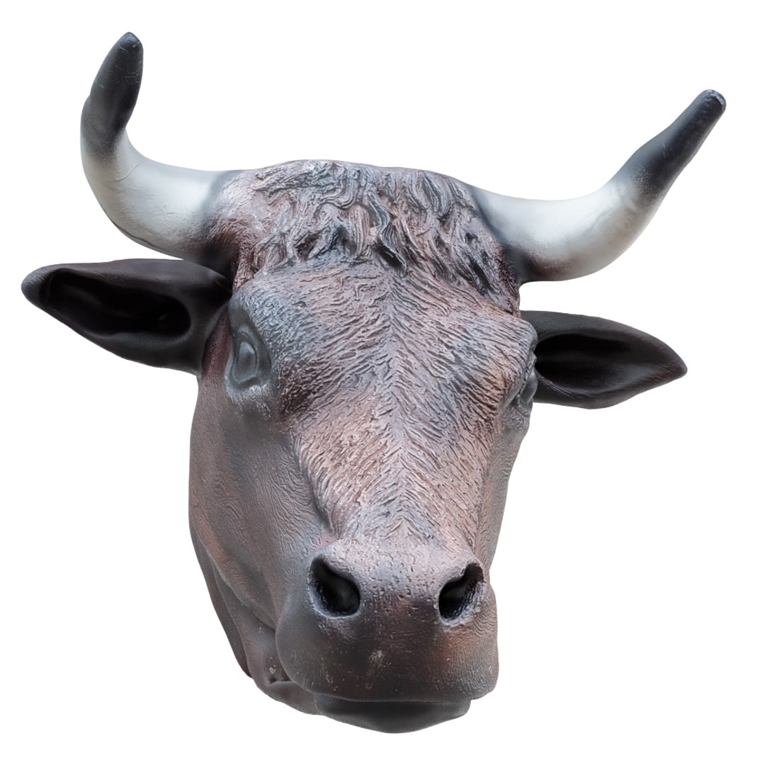 3D Decorative Bull Head Wall TurboSquid 1671146