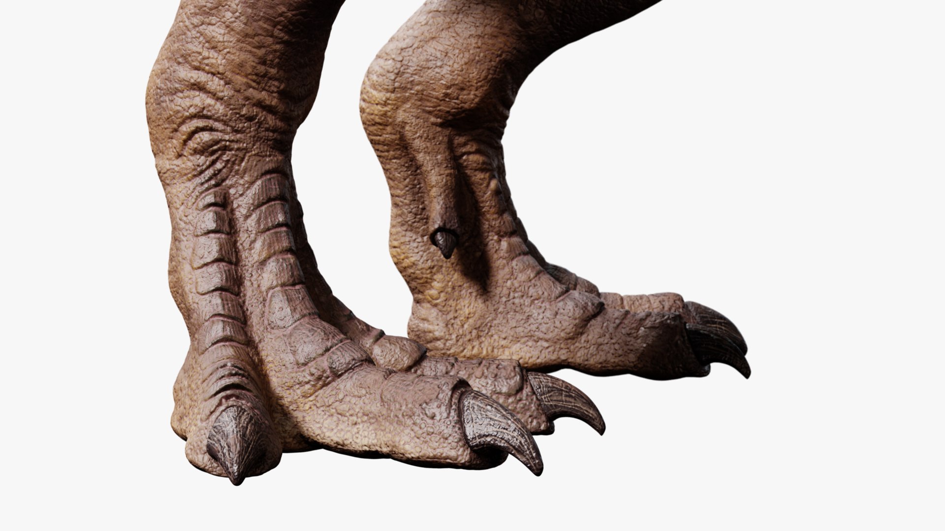 3D model tyrannosaurus rex https://p.turbosquid.com/ts-thumb/rc/pDg12m/0rkAHRNk/sig_11/jpg/1539726488/1920x1080/fit_q87/5998235900558154867397d1358b801f588f7aa3/sig_11.jpg