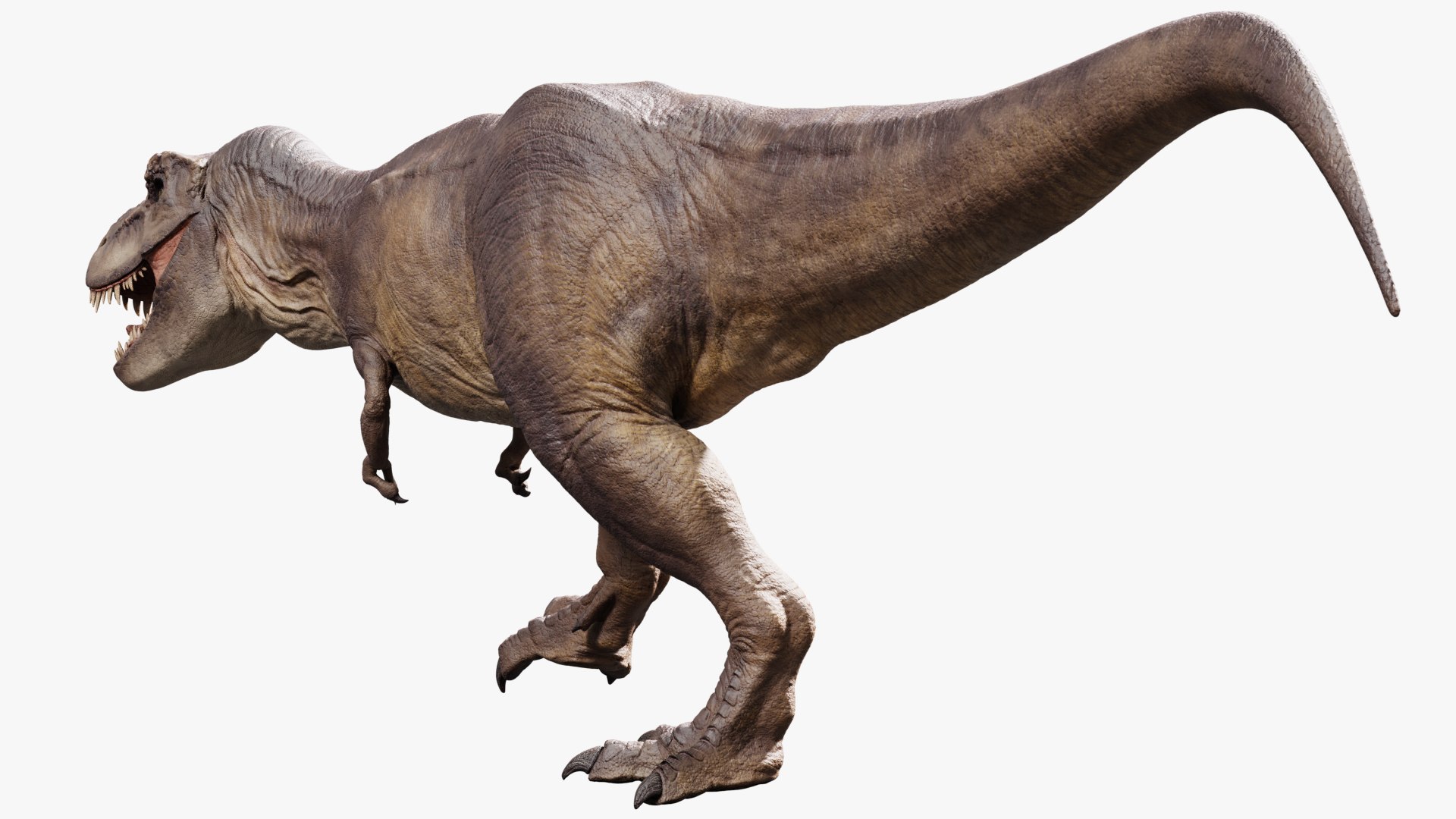 3D model tyrannosaurus rex https://p.turbosquid.com/ts-thumb/rc/pDg12m/6GI7AqMh/sig_03/jpg/1539726488/1920x1080/fit_q87/2703d95aaa775014128aa29ae012b60e9f61197d/sig_03.jpg