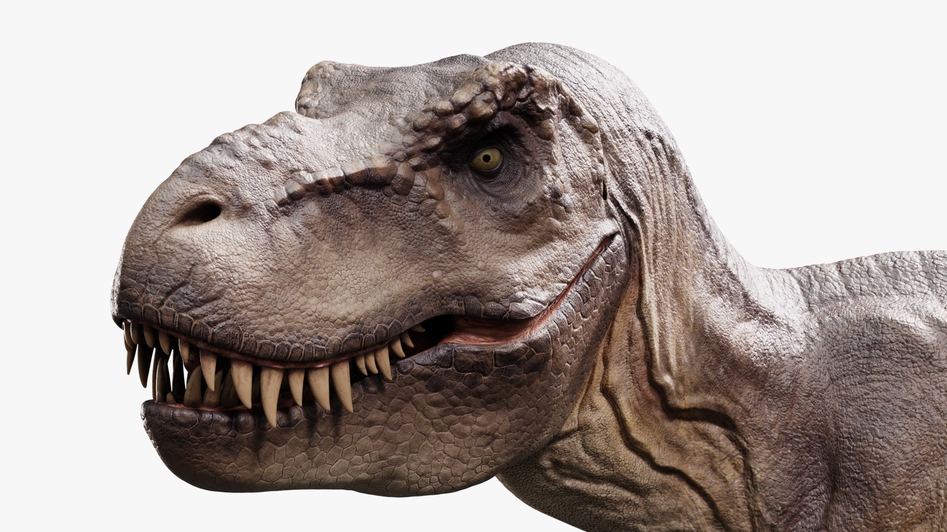 3D model tyrannosaurus rex https://p.turbosquid.com/ts-thumb/rc/pDg12m/9SM1z8q8/sig_09/jpg/1539726488/1920x1080/fit_q87/ac064759f54f93c75c163c98eecaecf0077e5aaf/sig_09.jpg