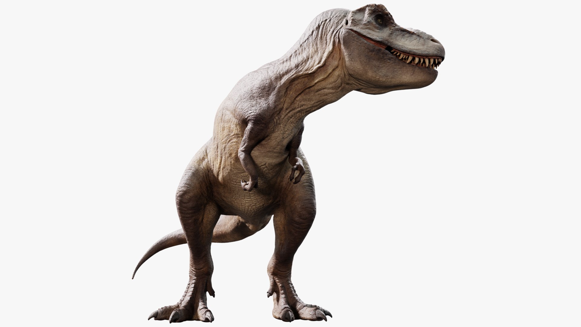 3D model tyrannosaurus rex https://p.turbosquid.com/ts-thumb/rc/pDg12m/UWXrTIBi/sig_12/jpg/1539726488/1920x1080/fit_q87/934f97d1672947961165fdb97d63e0a9eaa9338c/sig_12.jpg