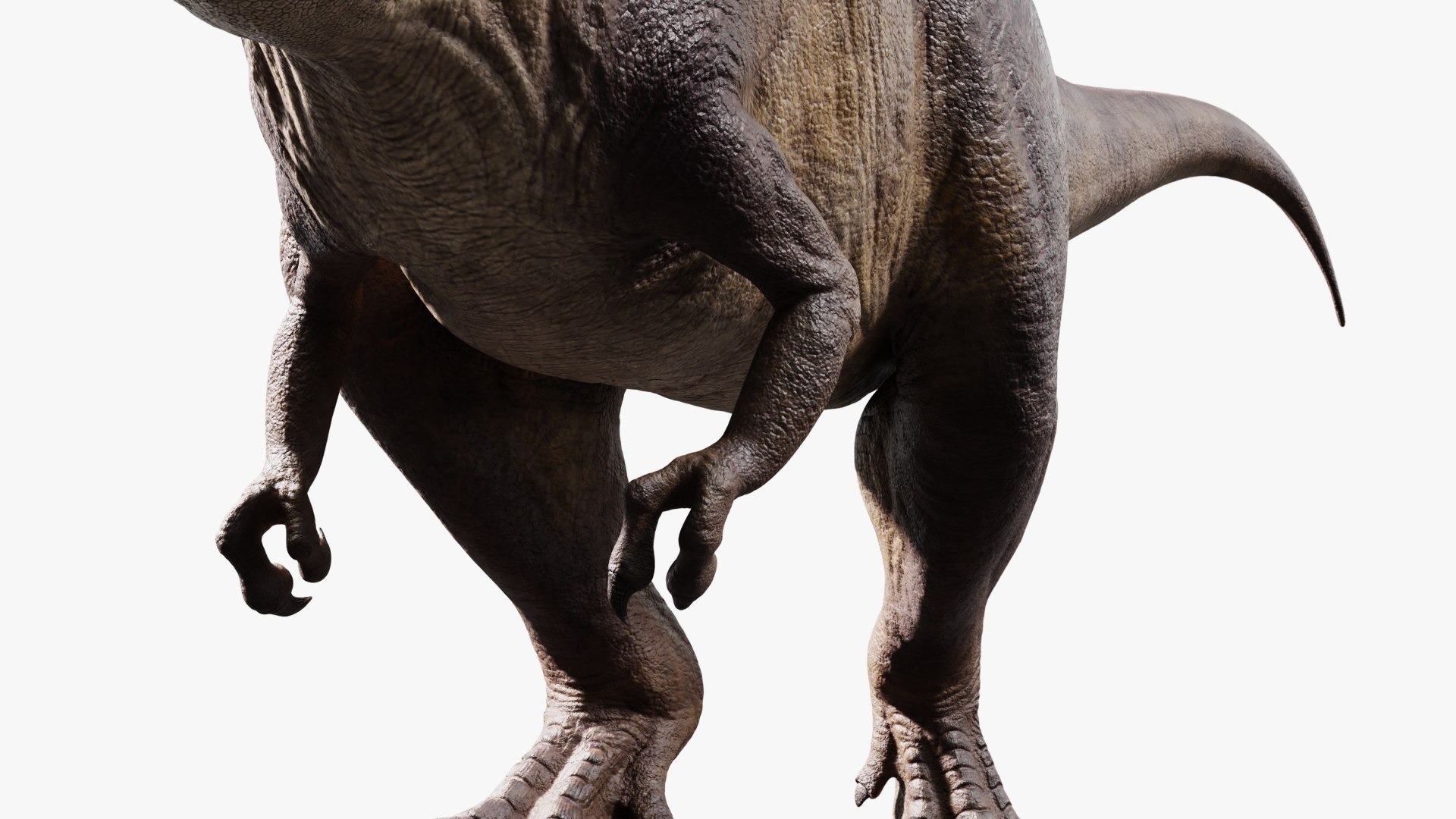 3D model tyrannosaurus rex https://p.turbosquid.com/ts-thumb/rc/pDg12m/ZRdnpN6y/sig_07/jpg/1539726488/1920x1080/fit_q87/ce25155c8beb835a196d5826ab8ce15fd5b6e37c/sig_07.jpg