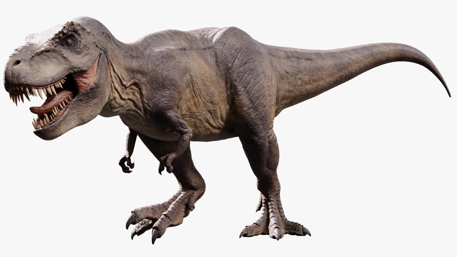 3D model tyrannosaurus rex https://p.turbosquid.com/ts-thumb/rc/pDg12m/bJlsXoDK/sig_02/jpg/1539726488/1920x1080/fit_q87/5dc993ee2fed4e18121696fb639a2d8b4ca88020/sig_02.jpg
