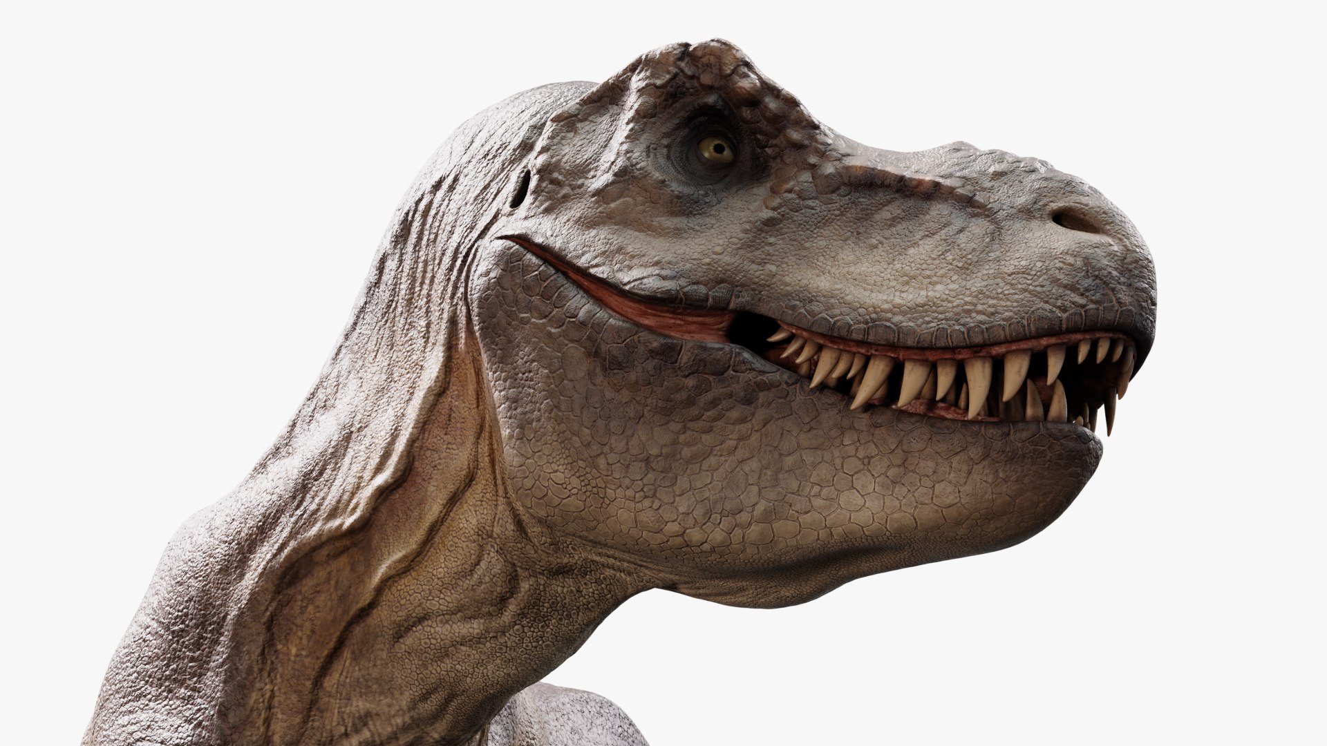 3D model tyrannosaurus rex https://p.turbosquid.com/ts-thumb/rc/pDg12m/flkga5c0/sig_10/jpg/1539726488/1920x1080/fit_q87/6f3eb63f9a8c44b547db6f672b4bd80f87ca67a4/sig_10.jpg